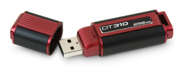 Kingston Data Traveler 310